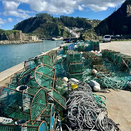 Appartement Del Valle 1